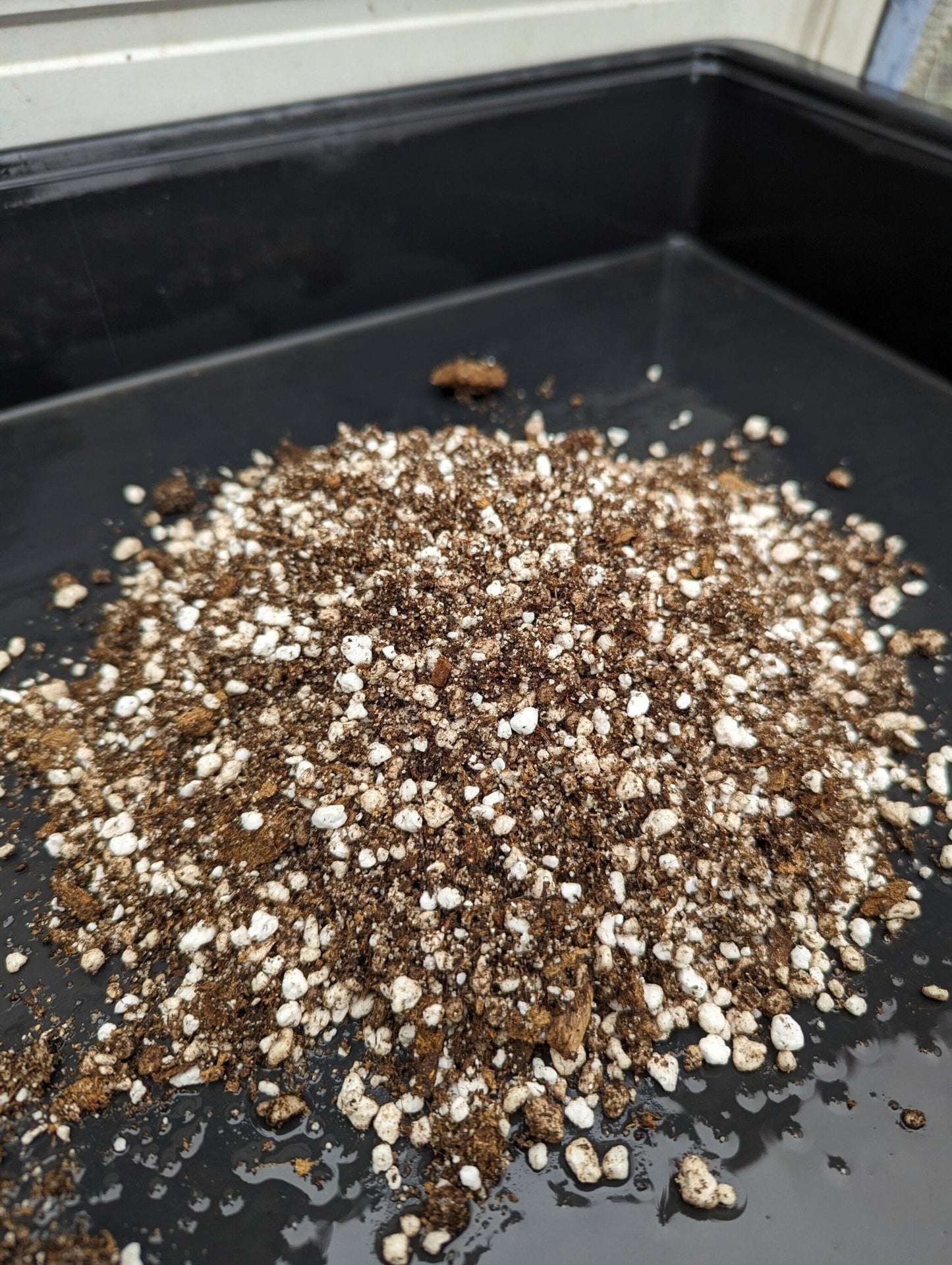 Planta carnívora - Mezcla sustrato plantas carnívoras - Carniterrace - Comprar en tienda online