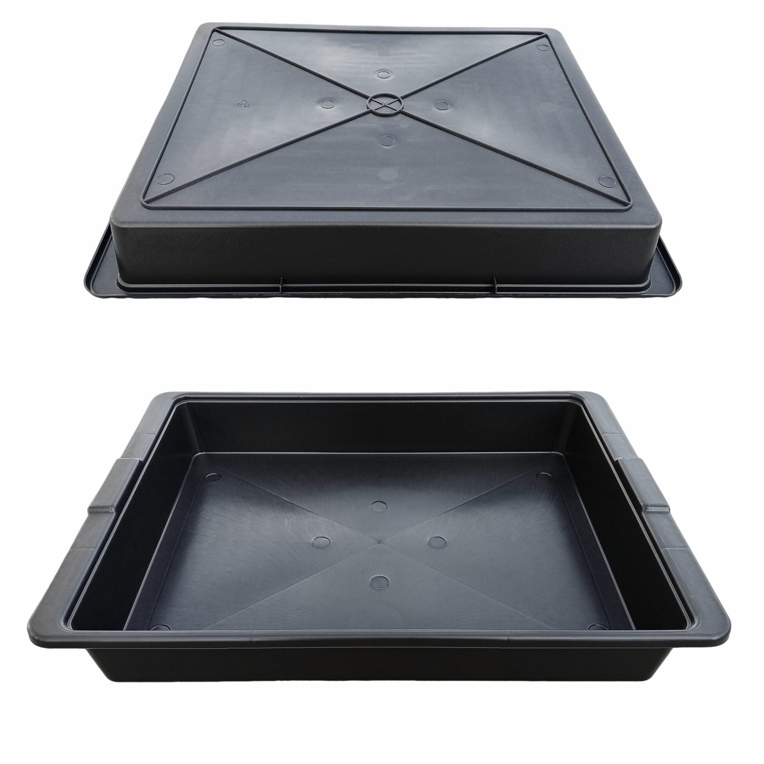 Macetas, bandejas y etiquetas para plantas carnívoras | Accesorios en tienda online - Carniterrace