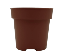 Planta carnívora - Maceta 8,5cm redonda marrón - Carniterrace - Comprar en tienda online