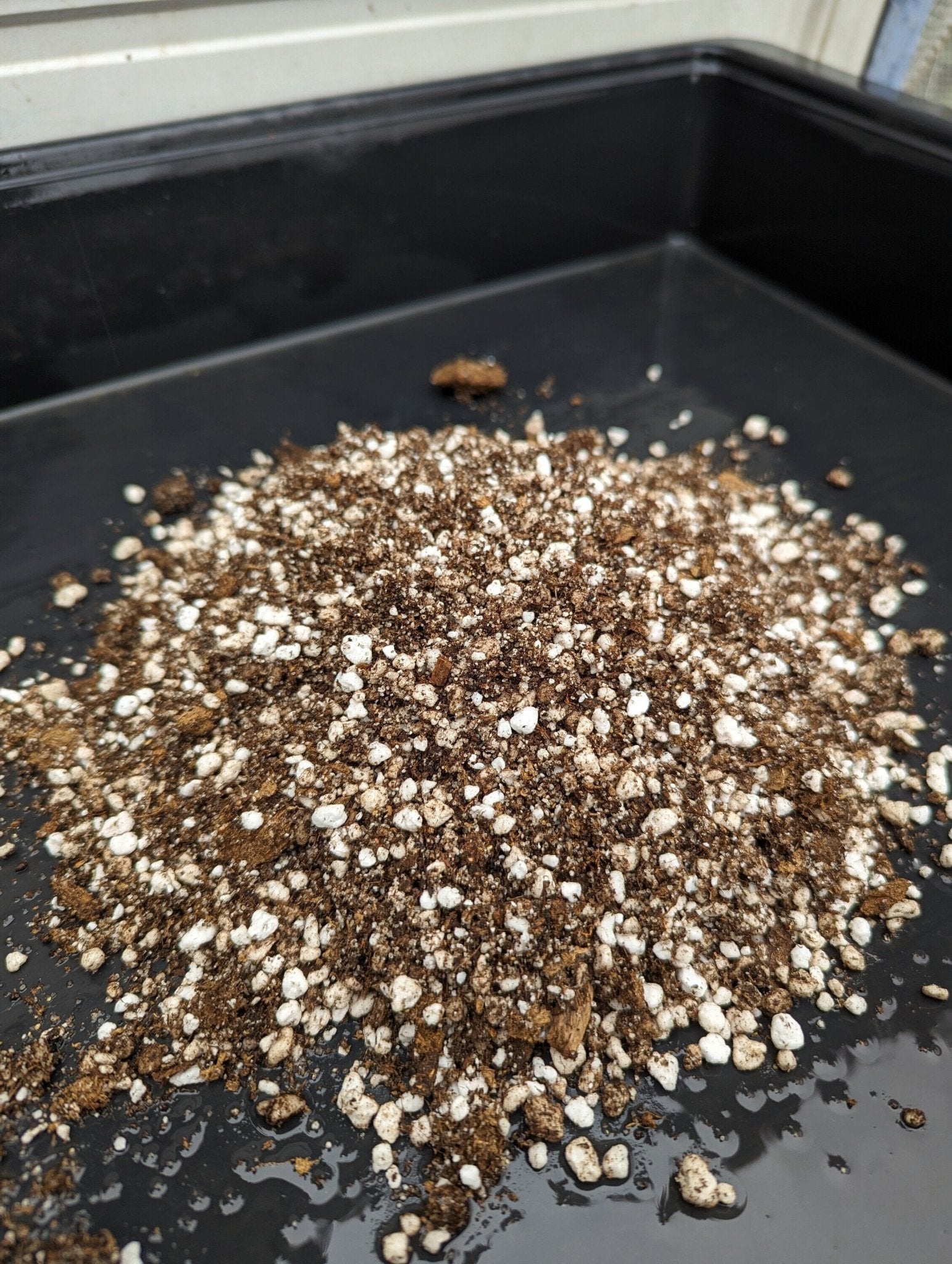 Planta carnívora - Mezcla sustrato plantas carnívoras - Carniterrace - Comprar en tienda online