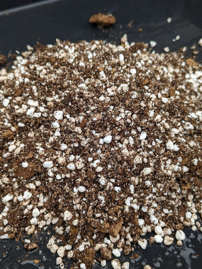 Planta carnívora - Mezcla sustrato plantas carnívoras - Carniterrace - Comprar en tienda online