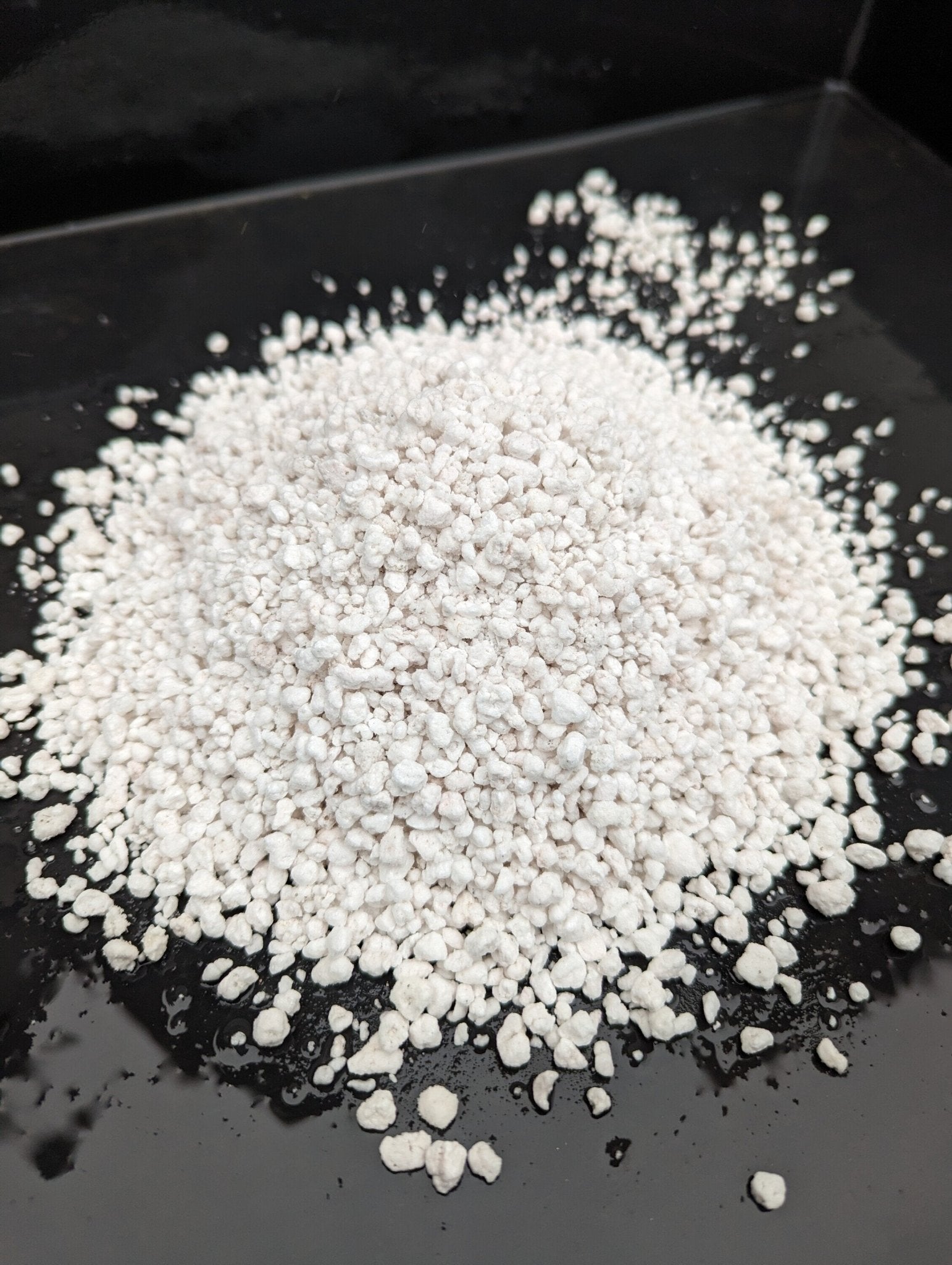 Planta carnívora - Perlita - Carniterrace - Comprar en tienda online