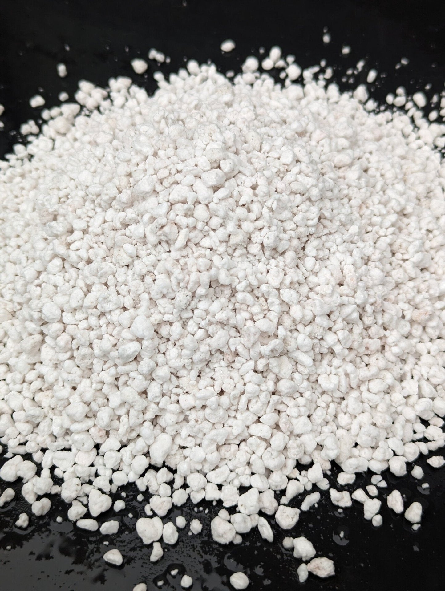 Planta carnívora - Perlita - Carniterrace - Comprar en tienda online