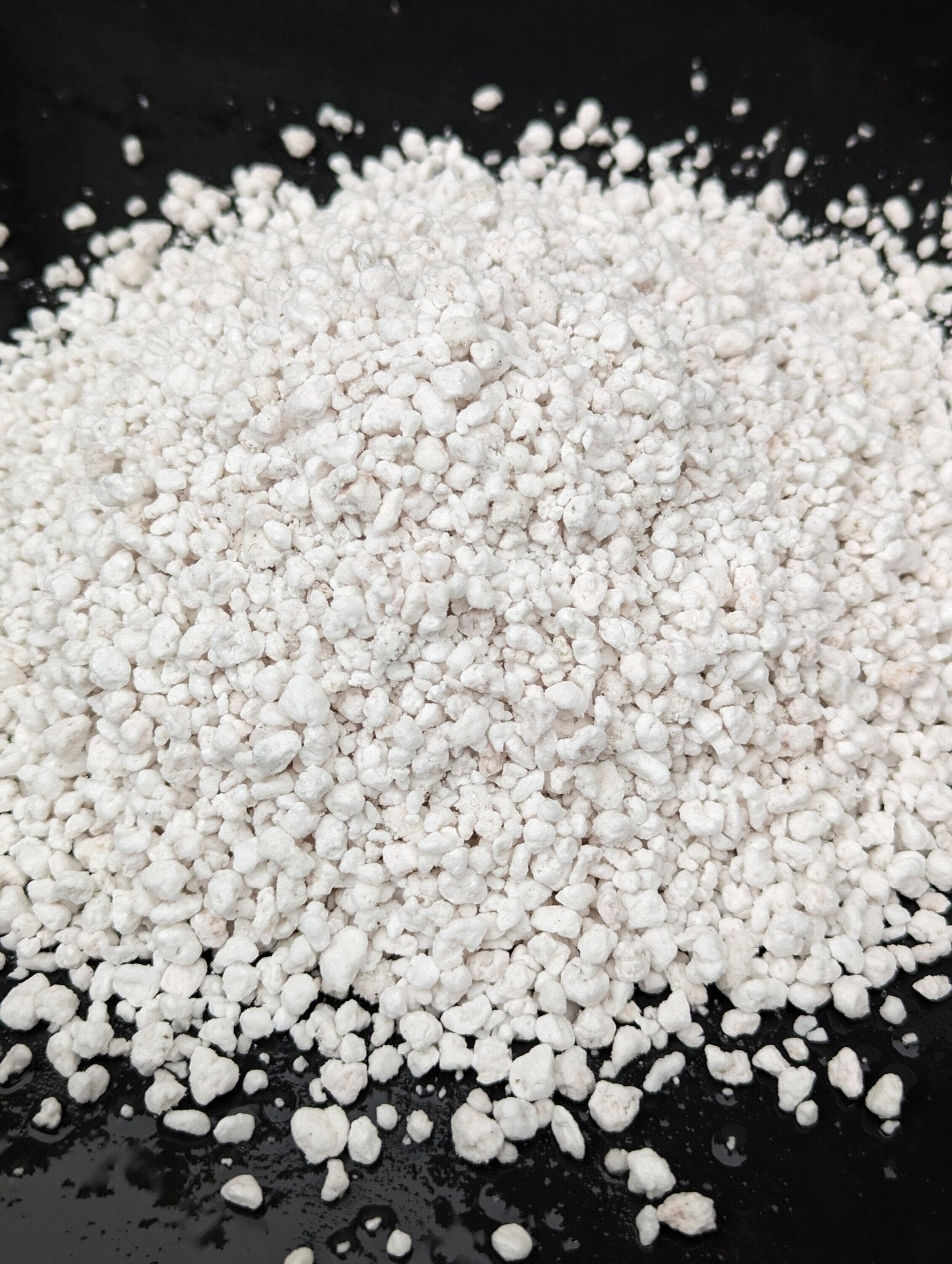 Planta carnívora - Perlita - Carniterrace - Comprar en tienda online