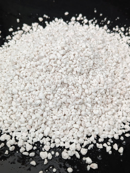 Planta carnívora - Perlita - Carniterrace - Comprar en tienda online