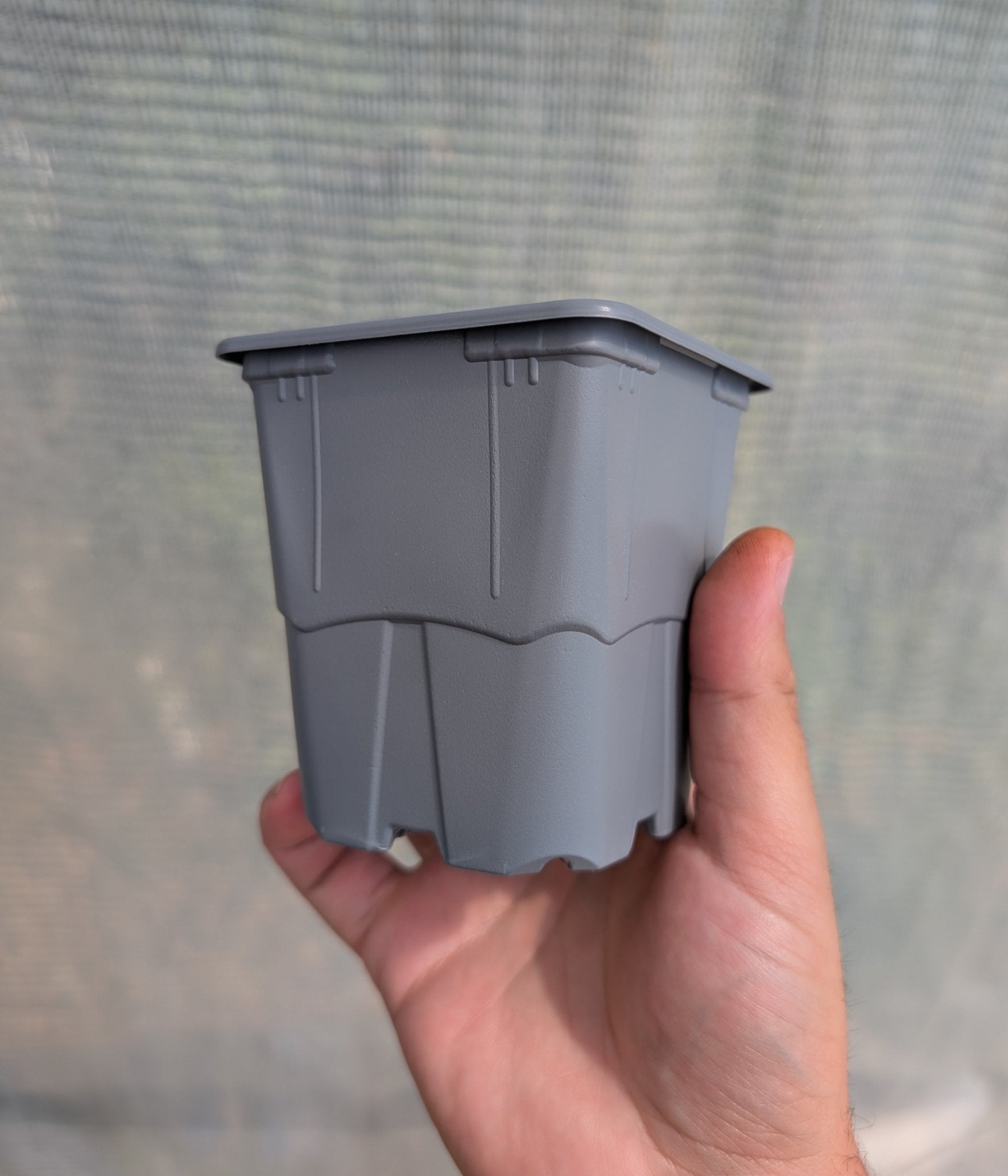 Planta carnívora - Maceta 9x9x9,5 cuadrada gris. - Carniterrace - Comprar en tienda online