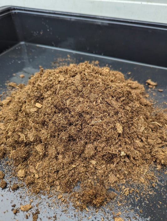 Planta carnívora - Turba rubia - Carniterrace - Comprar en tienda online