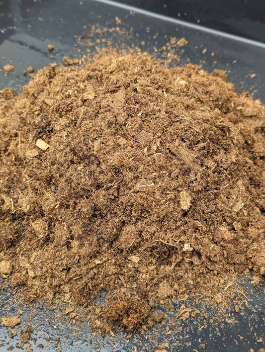 Planta carnívora - Turba rubia - Carniterrace - Comprar en tienda online